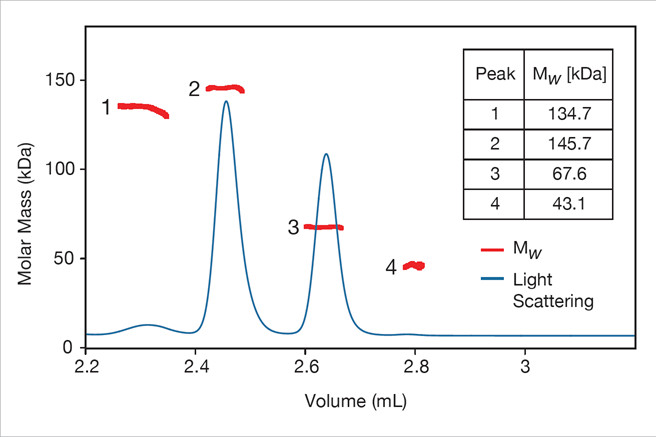 protein molar mass characterization 
        with miniDAWN